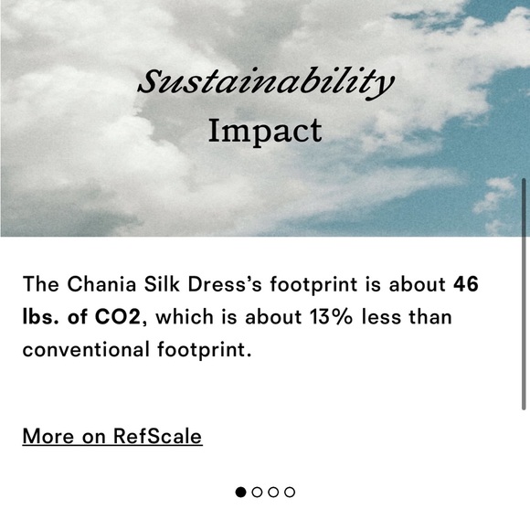 Chania Silk Dress - Picture 8 of 14